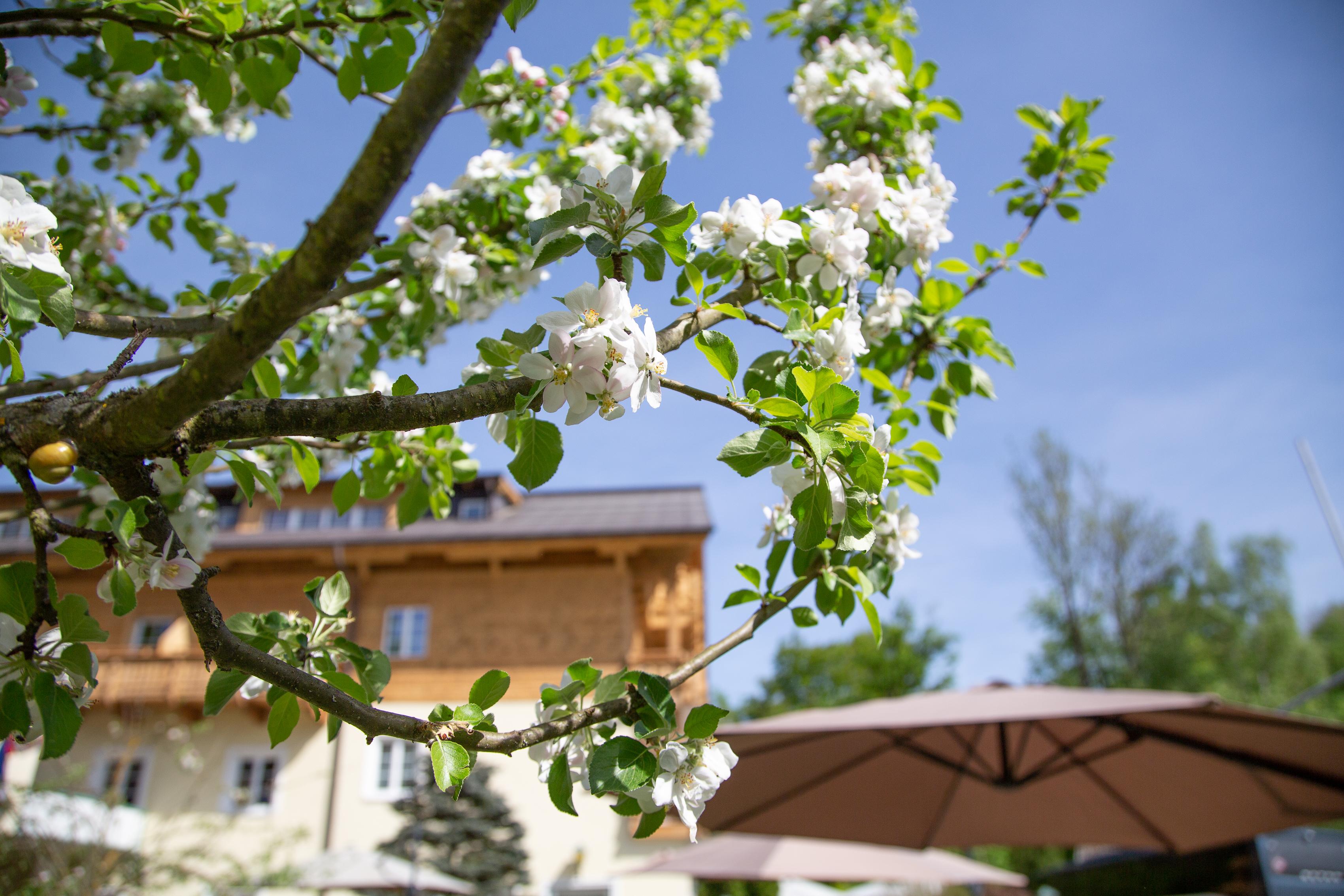 Hotel Foersterhof Lebe Pur, Geniesse Den Tag Saint Wolfgang Exteriér fotografie